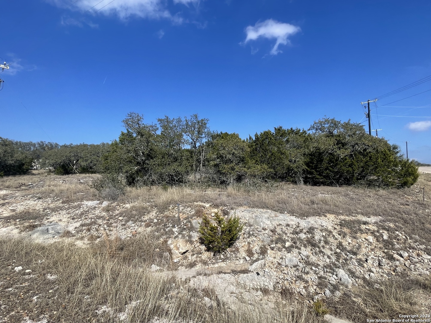 601 South Calvin Barrett Blanco, TX 78606 - Photo 5 of 13