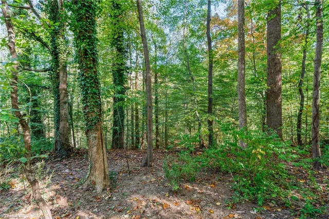 $435,000 | 199 Sonata Drive, Lewisville, NC 27023