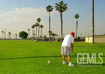 Undisclosed Address Bakersfield, CA 93301 - Photo 27 of 27 a garden view