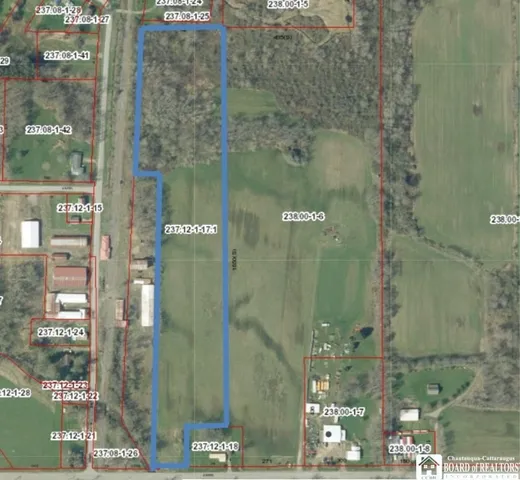 $19,900 | 452 Southside Avenue, Cherry Creek, NY 14723