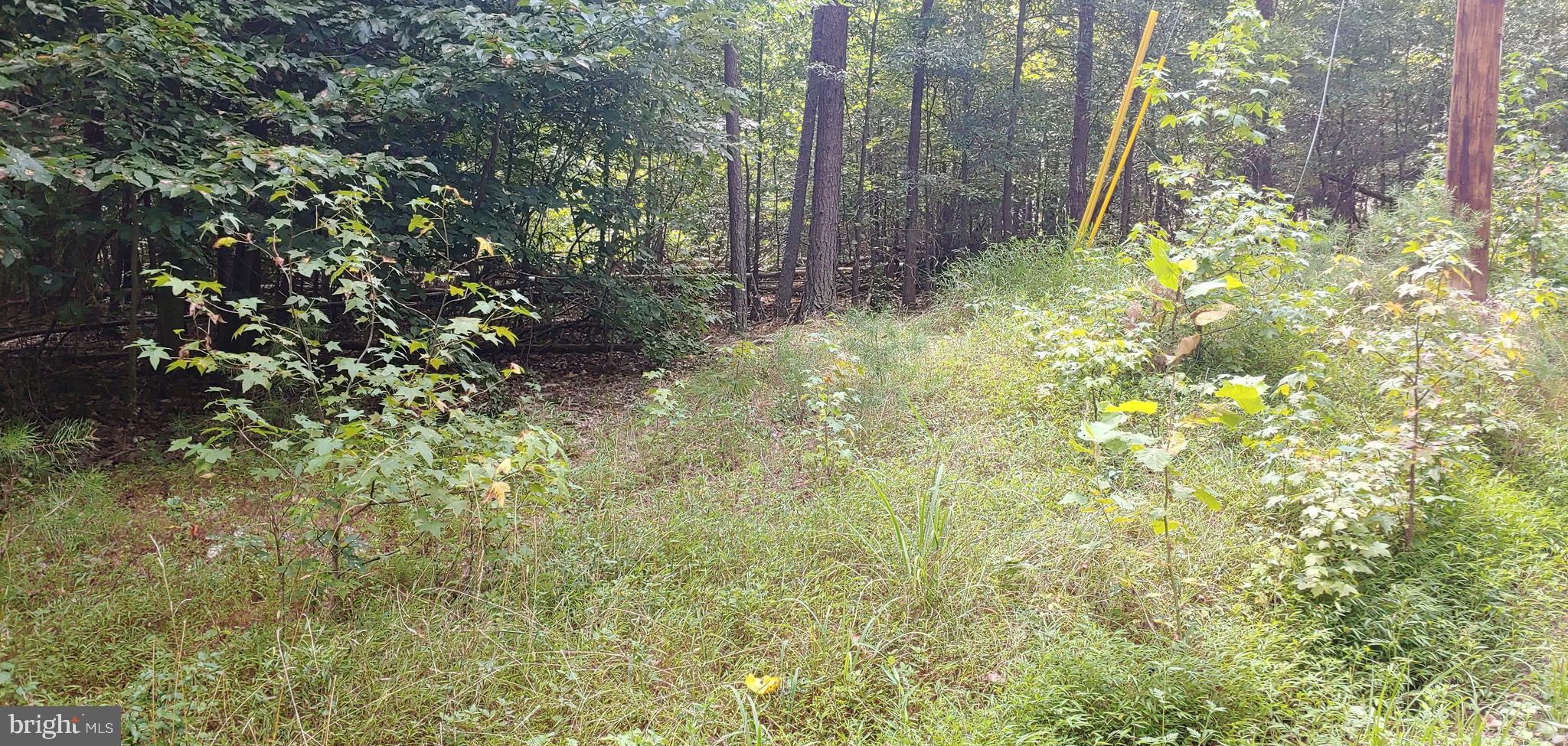 1910 Accokeek Road West, Unit 1910 Accokeek, MD 20607 - Photo 3 of 5 From Accokeek Road looking into the property