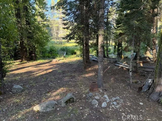 a view of a yard with large trees
