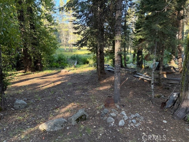 9002 Humboldt Road Forest Ranch, CA 95942 - Photo 3 of 11 a view of a yard with large trees