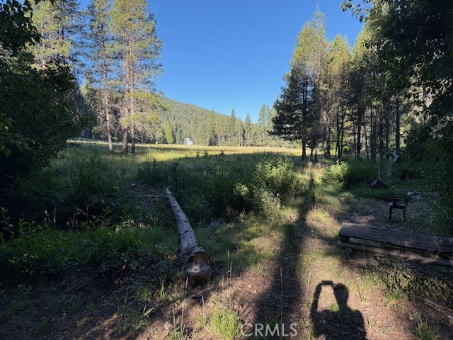 9002 Humboldt Road Forest Ranch, CA 95942 - Photo 5 of 11 a view of a lake with a yard