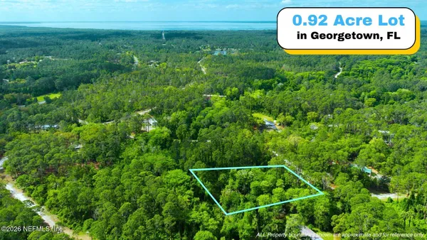 $16,500 | 102 Hyacinth Court, Georgetown, FL 32139