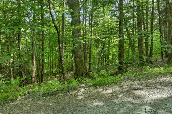 $299,000 | 0 Safford Road, Quechee, VT 05059