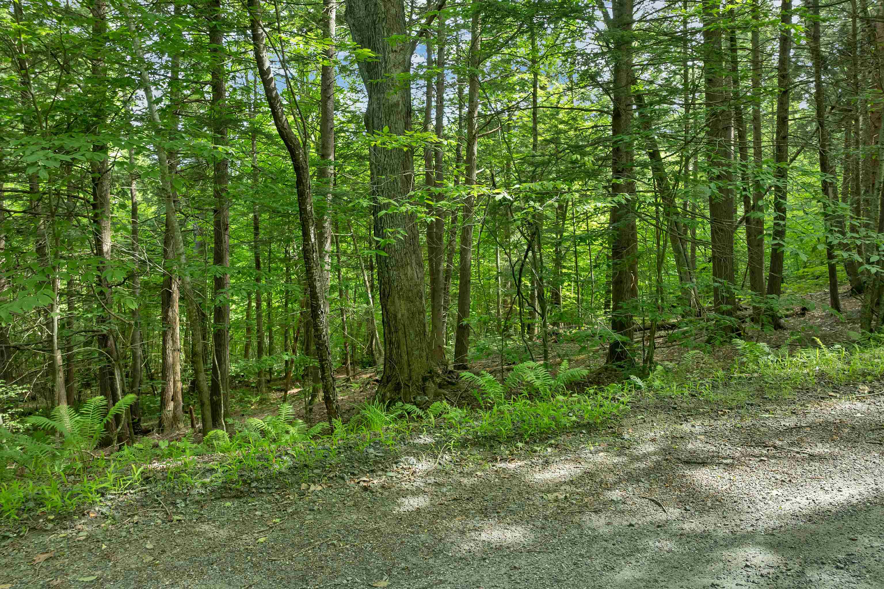0 Safford Road Quechee, VT 05059 - Photo 1 of 9