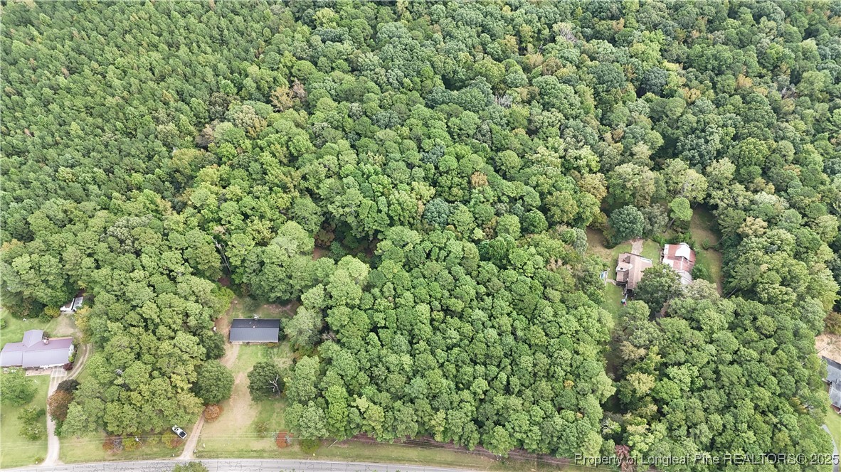 Cox Mill Road Sanford, NC 27332 - Photo 4 of 9 Gallery Image 4