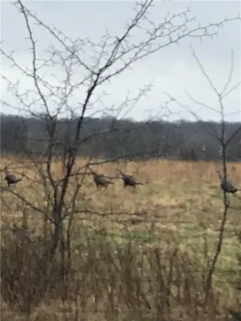 $297,000 | 0 Ks Highway, Mound City, KS 66056