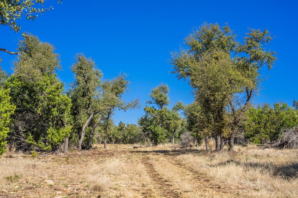 0 Keese Road Fredericksburg, TX 78624 - Photo 8 of 11