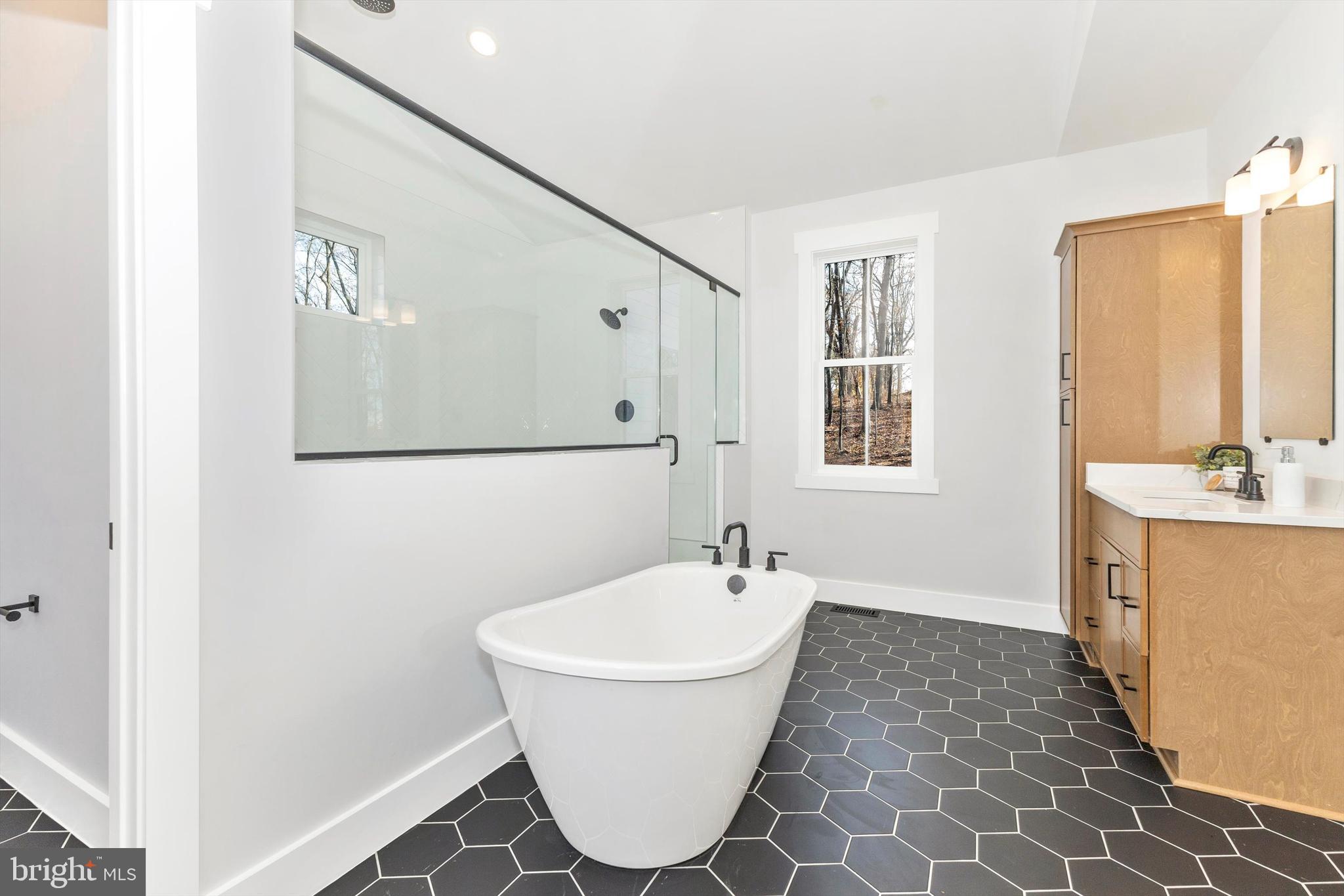1199 Hoods Mill Road Cooksville, MD 21723 - Photo 33 of 86 a bathroom with a sink and a mirror