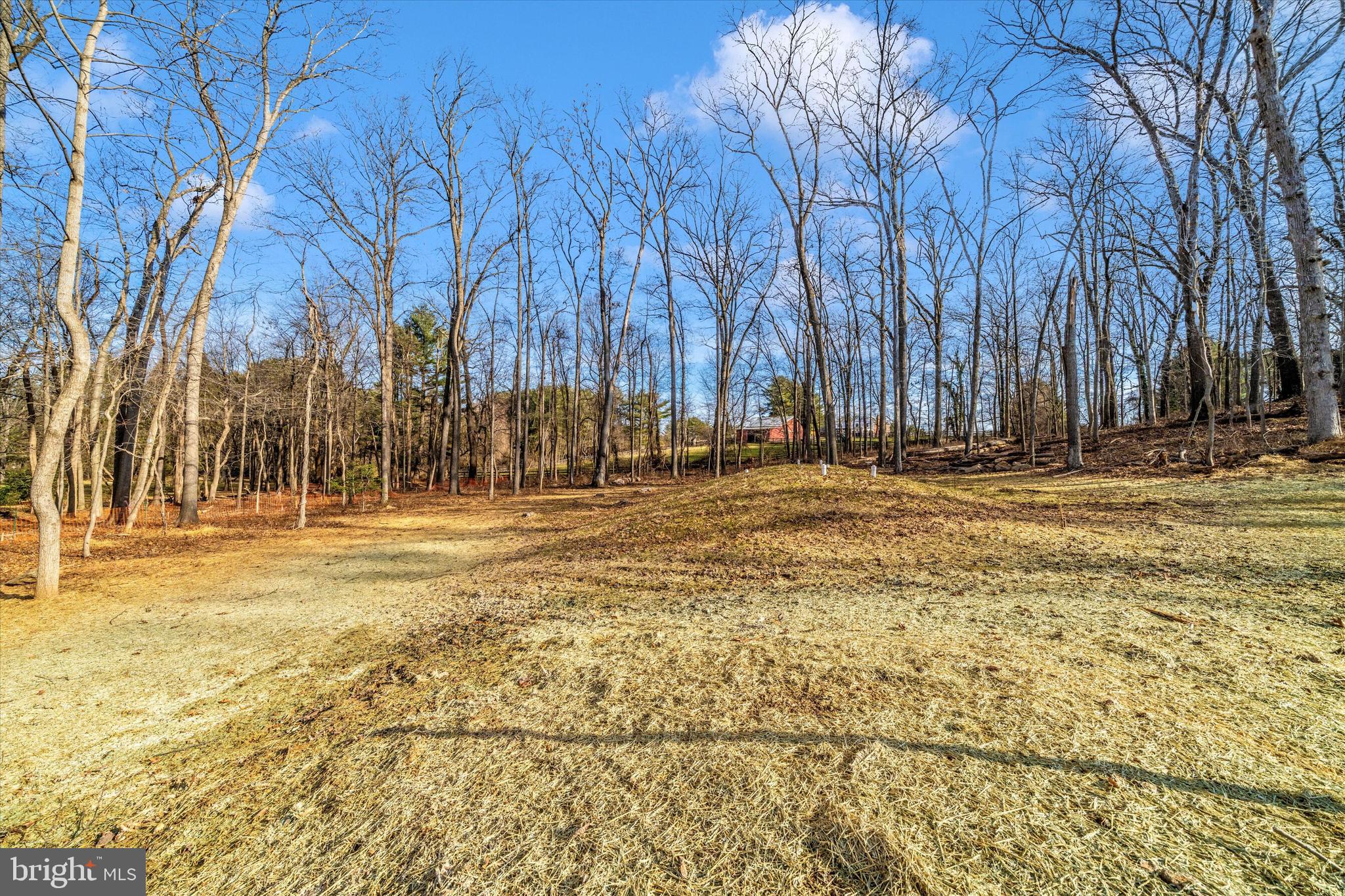 1199 Hoods Mill Road Cooksville, MD 21723 - Photo 70 of 86