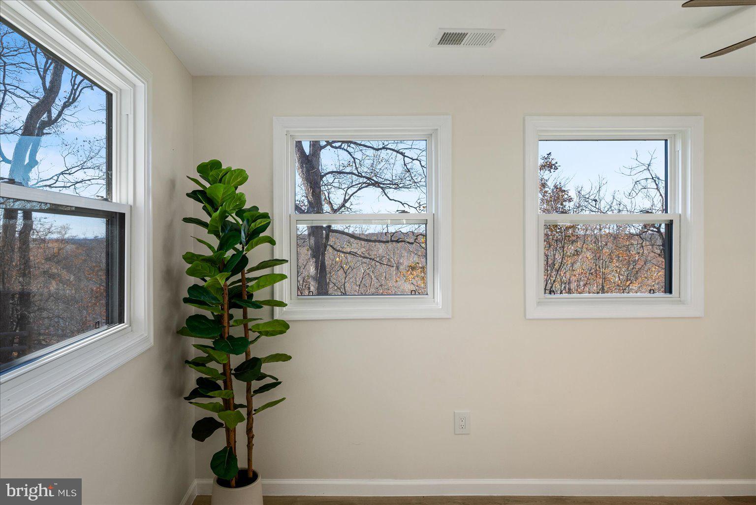 440 Redbud Lane Bluemont, VA 20135 - Photo 13 of 53