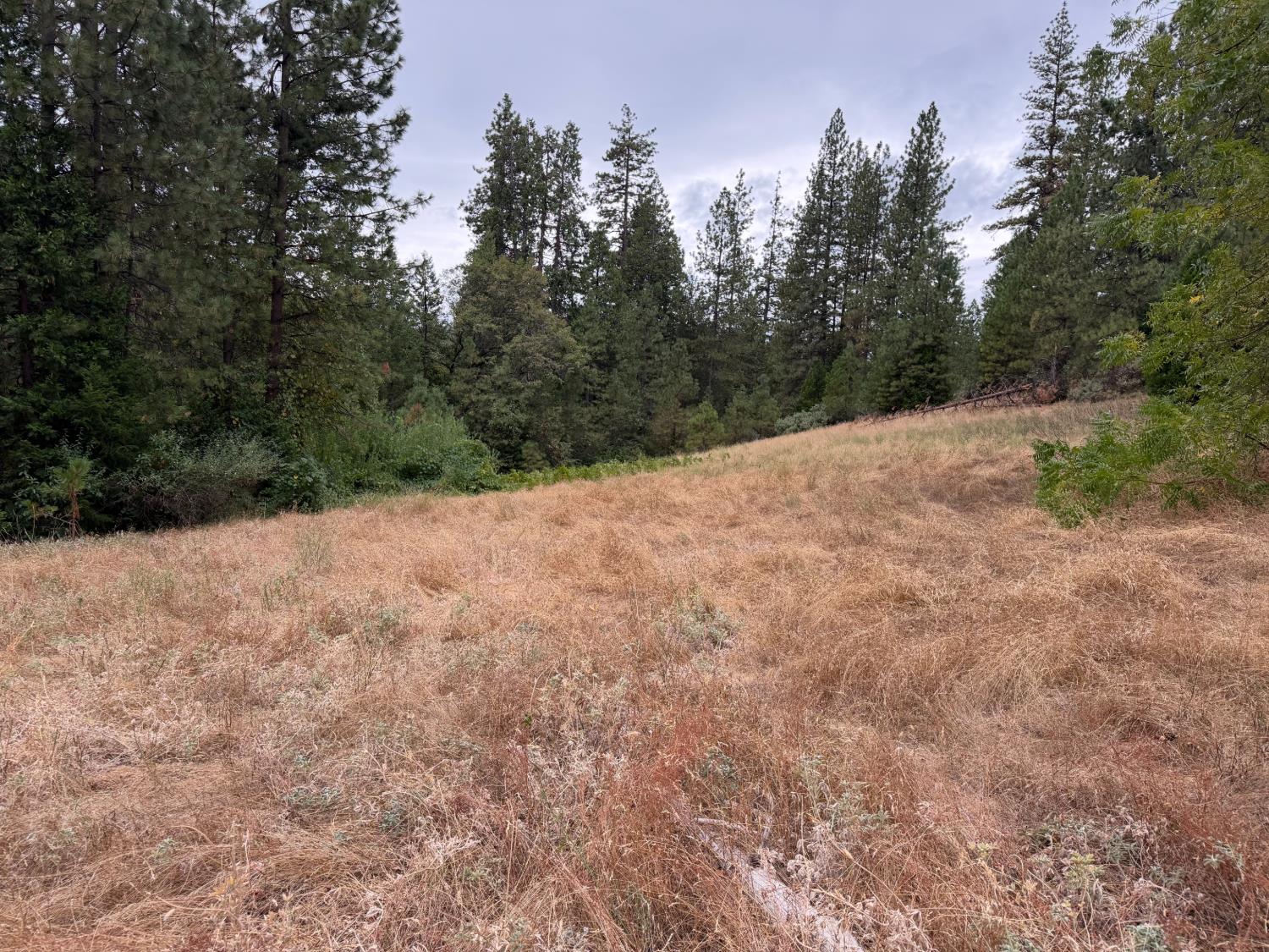 27999 Big Dipper Road Colfax, CA 95713 - Photo 16 of 24 Gallery Image 16