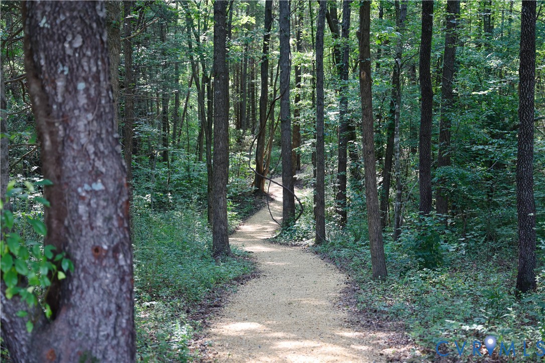 1192 West Store Road Halifax, VA 24558 - Photo 4 of 73