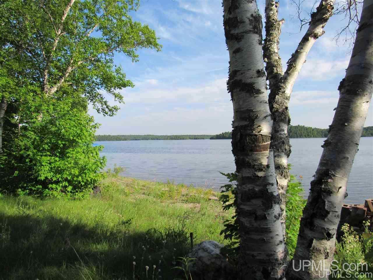 Tbd Tbd Brown Road Michigamme, MI 49861 - Photo 2 of 22