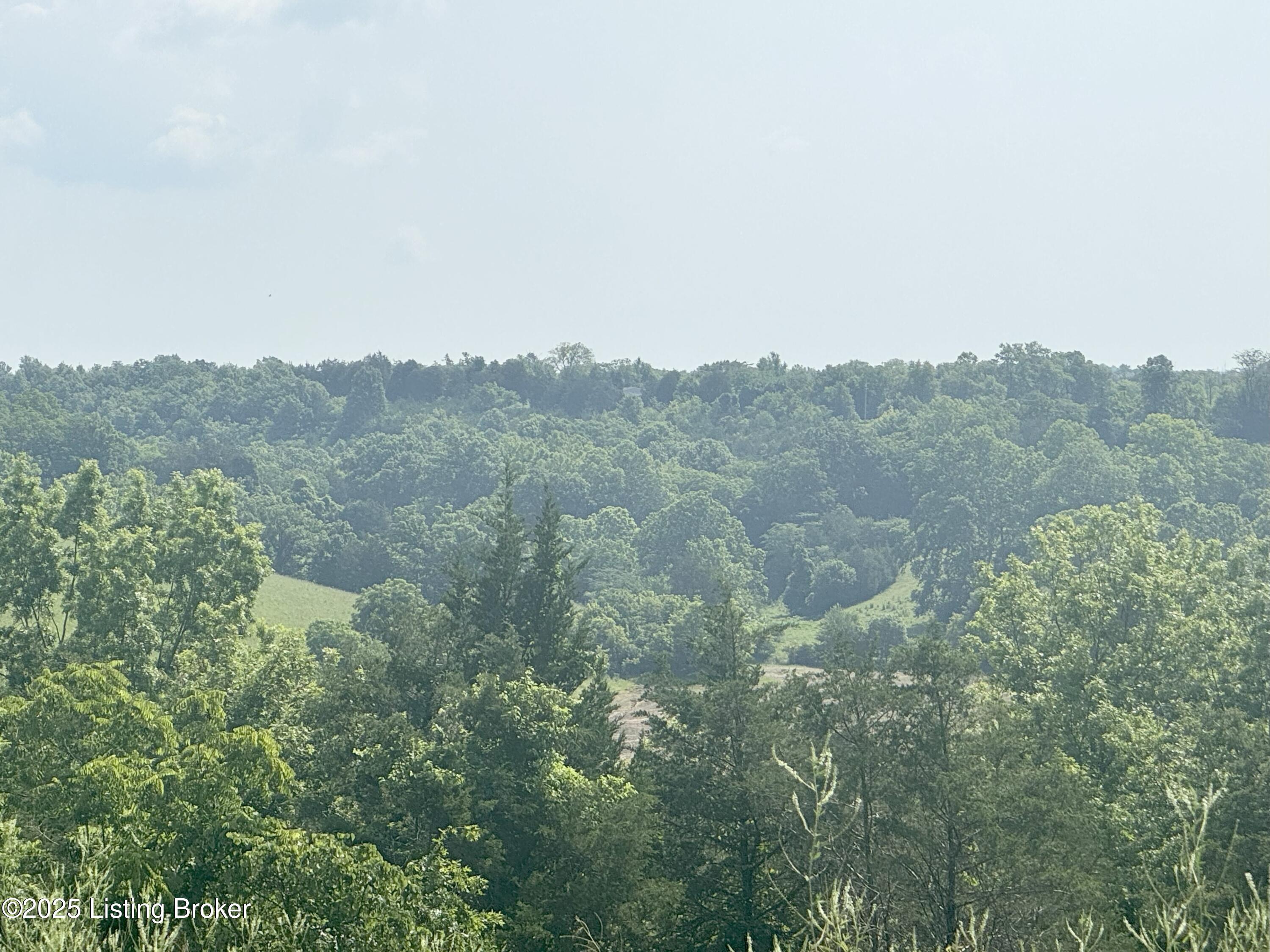 350 Fairview Road Harrodsburg, KY 40330 - Photo 2 of 40 2 - 350 Fairview Dr