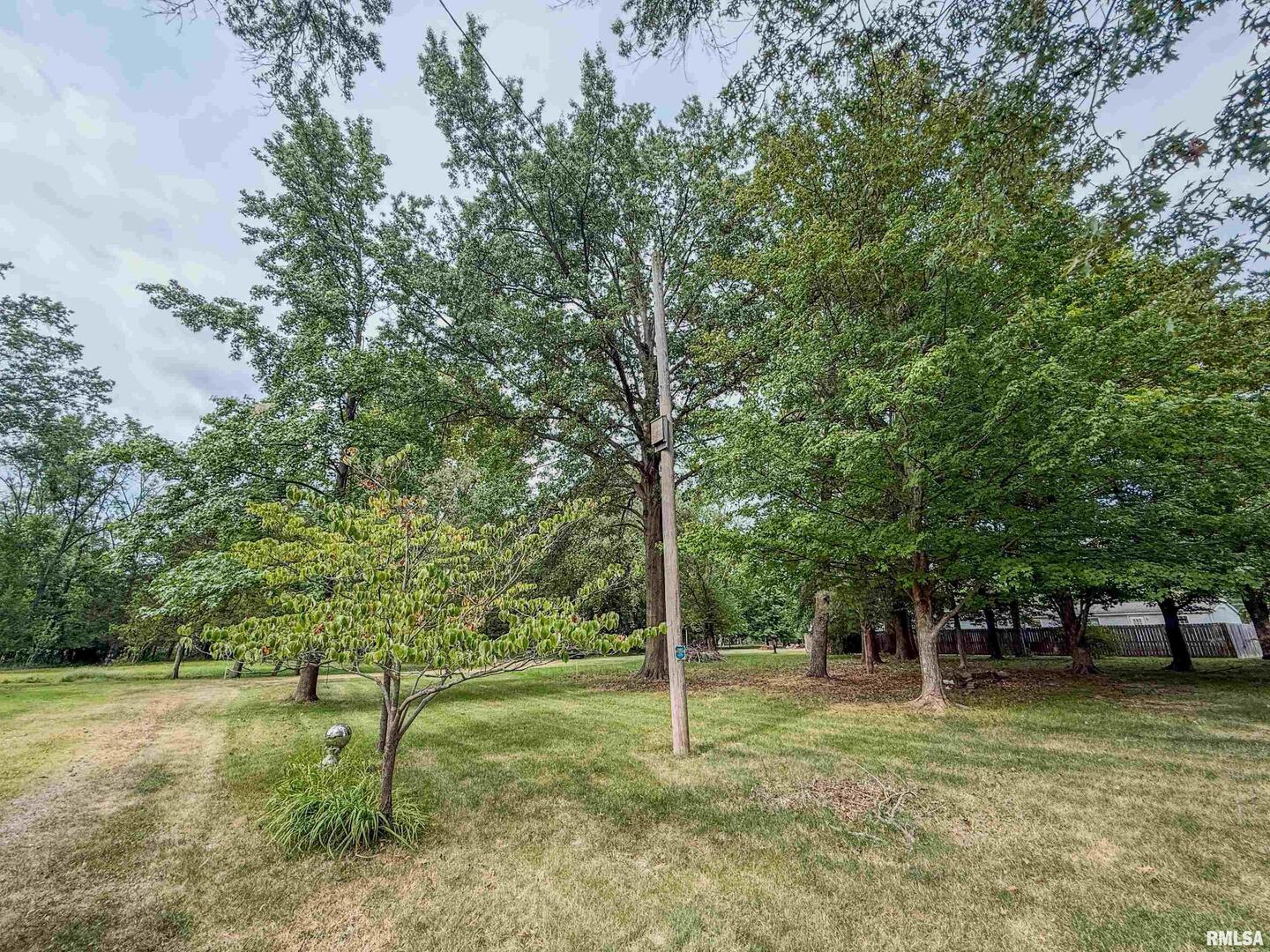 325 East Webster Street Herrin, IL 62948 - Photo 36 of 50