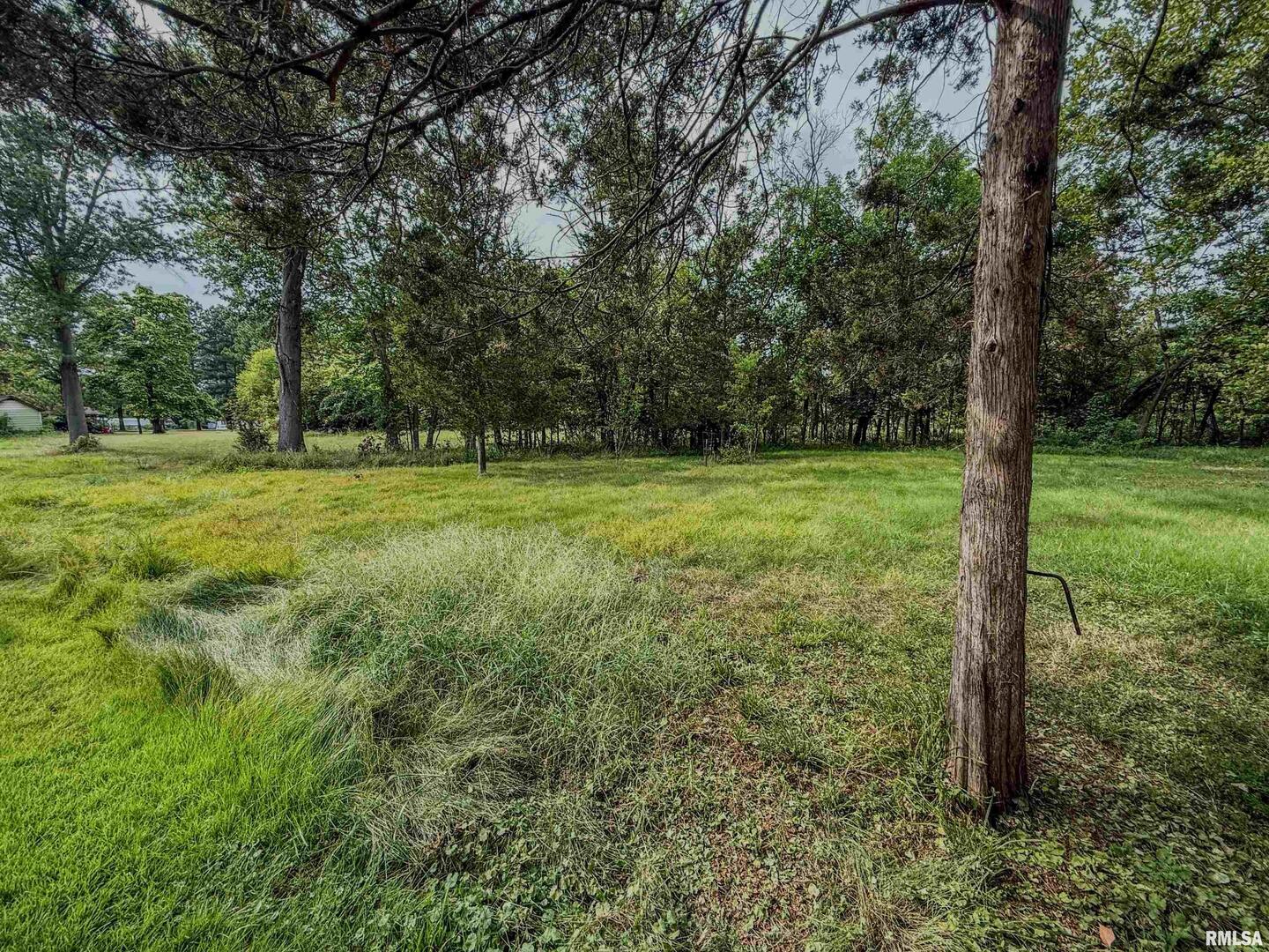 325 East Webster Street Herrin, IL 62948 - Photo 38 of 50