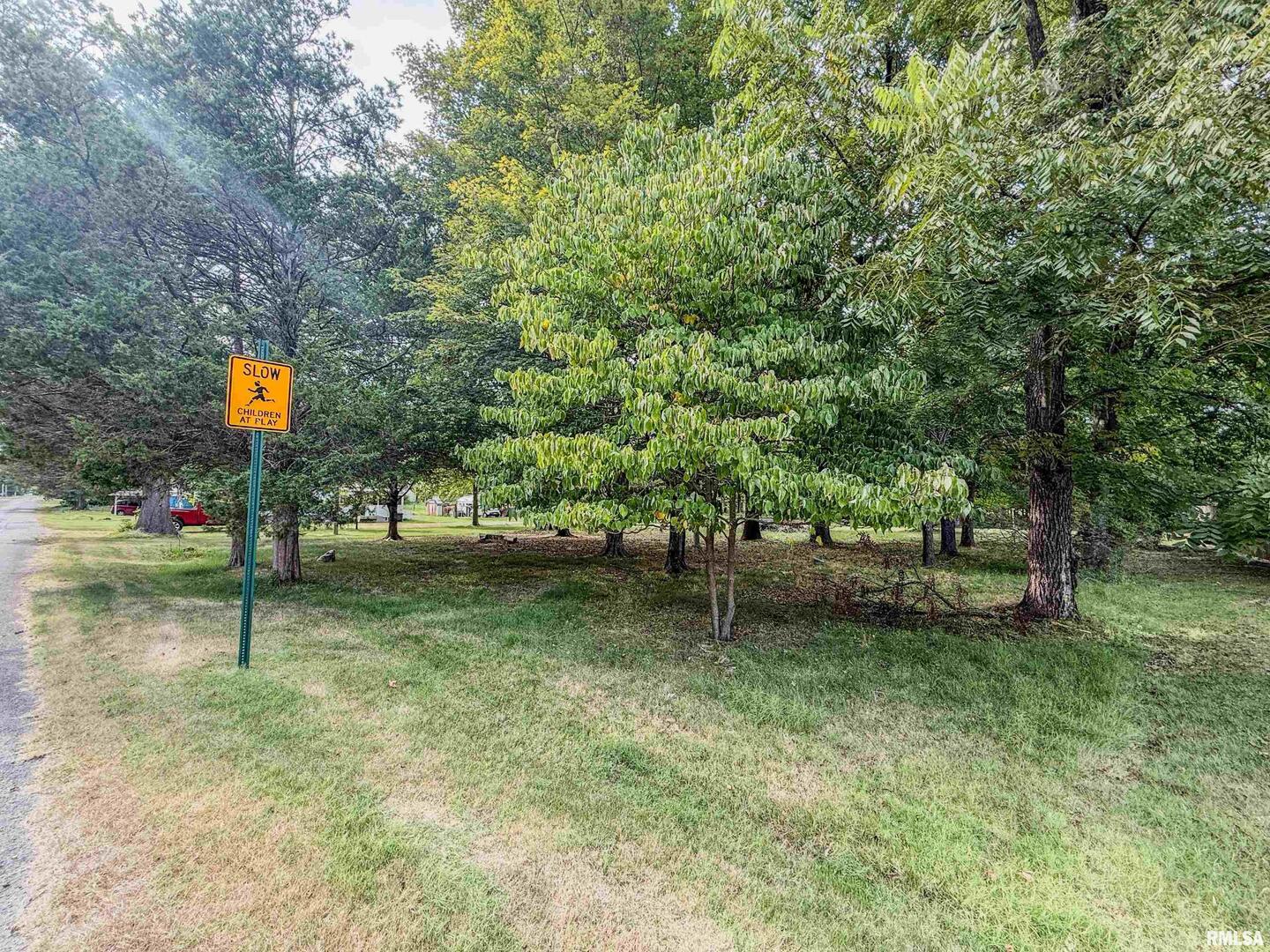 325 East Webster Street Herrin, IL 62948 - Photo 40 of 50