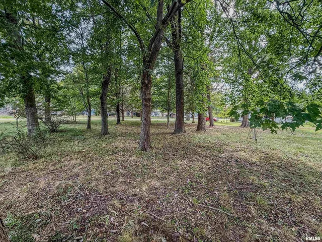 $85,000 | 325 East Webster Street, Herrin, IL 62948