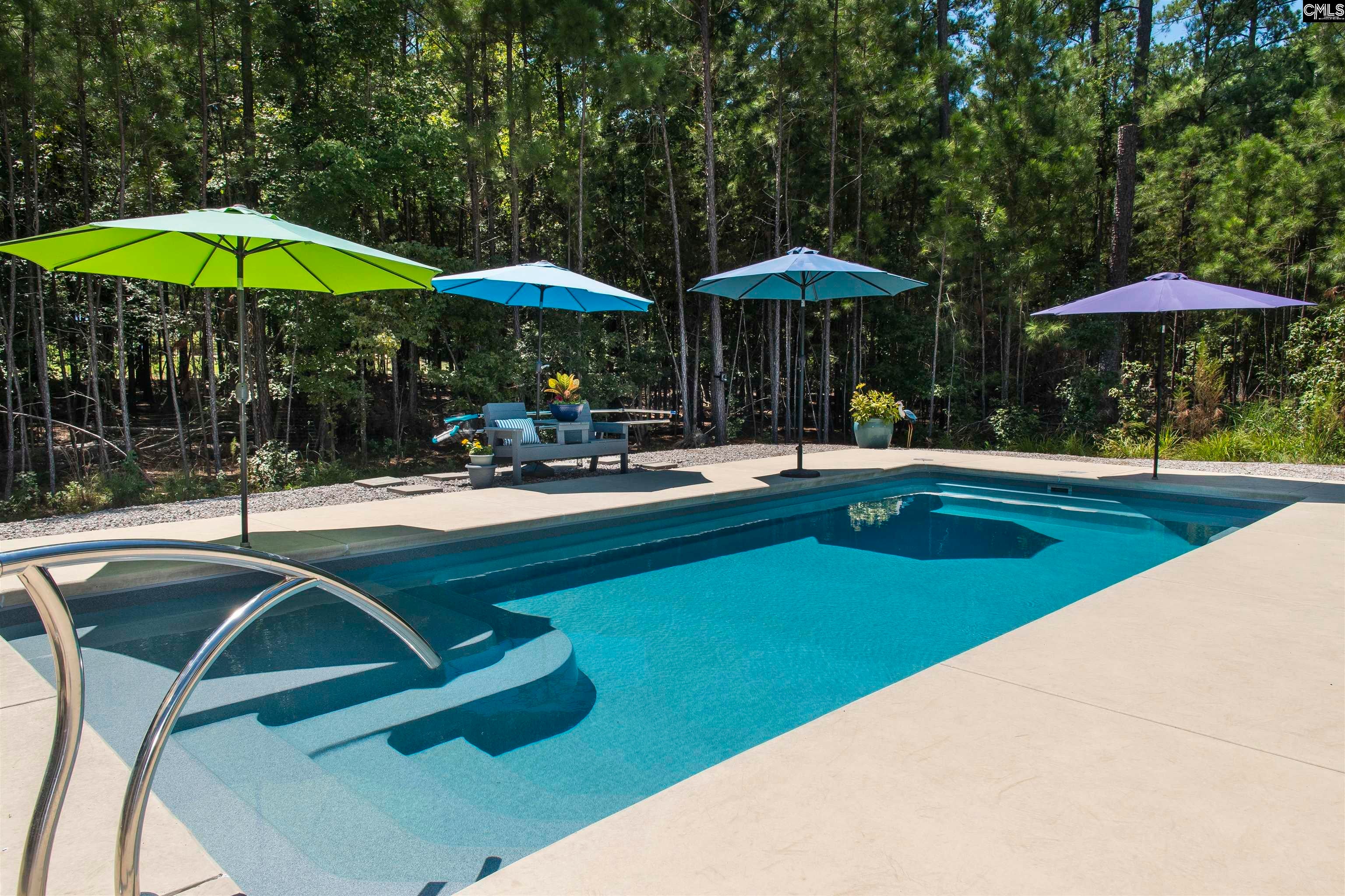 207 Jake Meetze Road Chapin, SC 29036 - Photo 43 of 52 Gallery Image 43