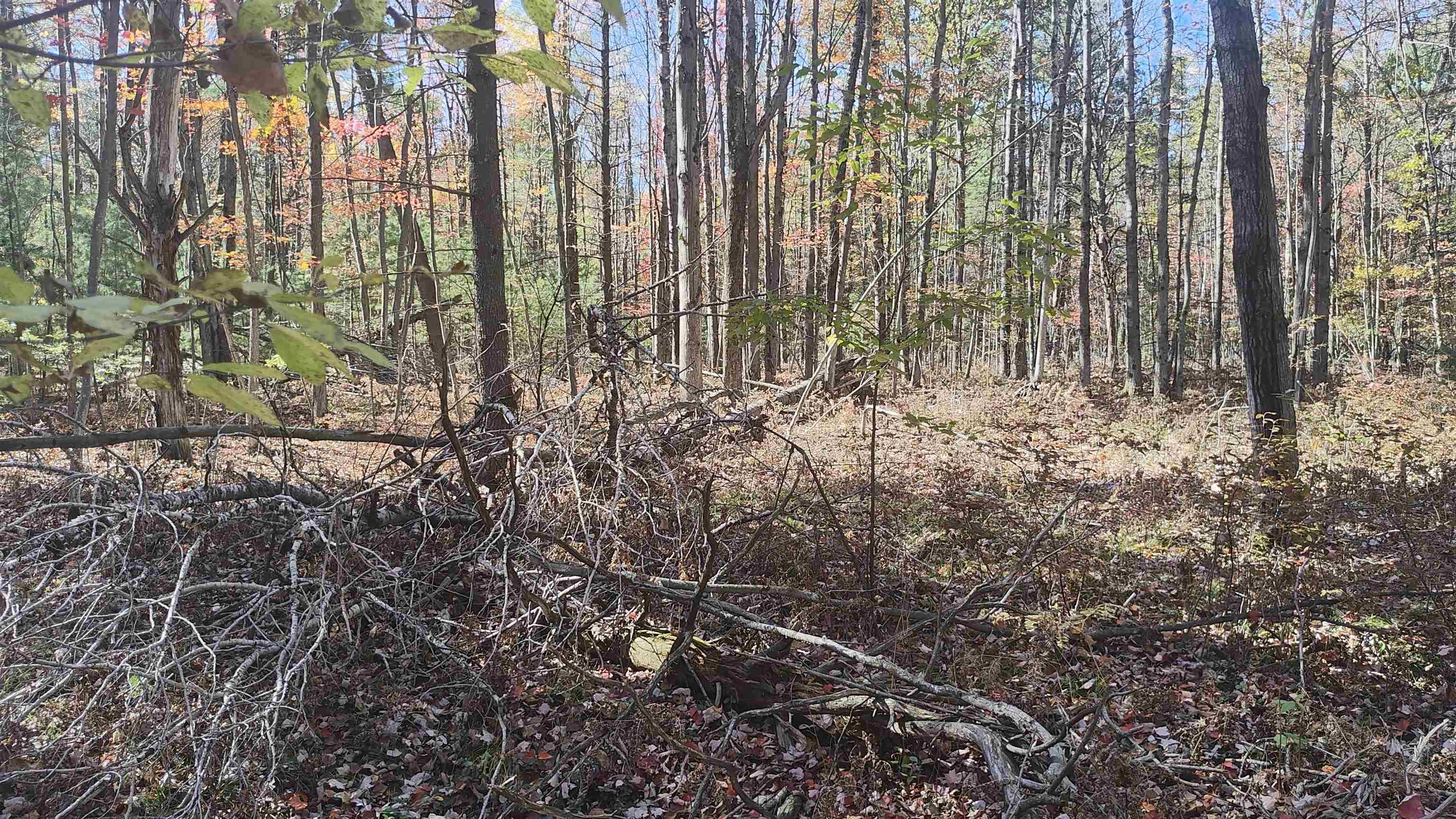 0 Timber Trail Prescott, MI 48756 - Photo 41 of 44