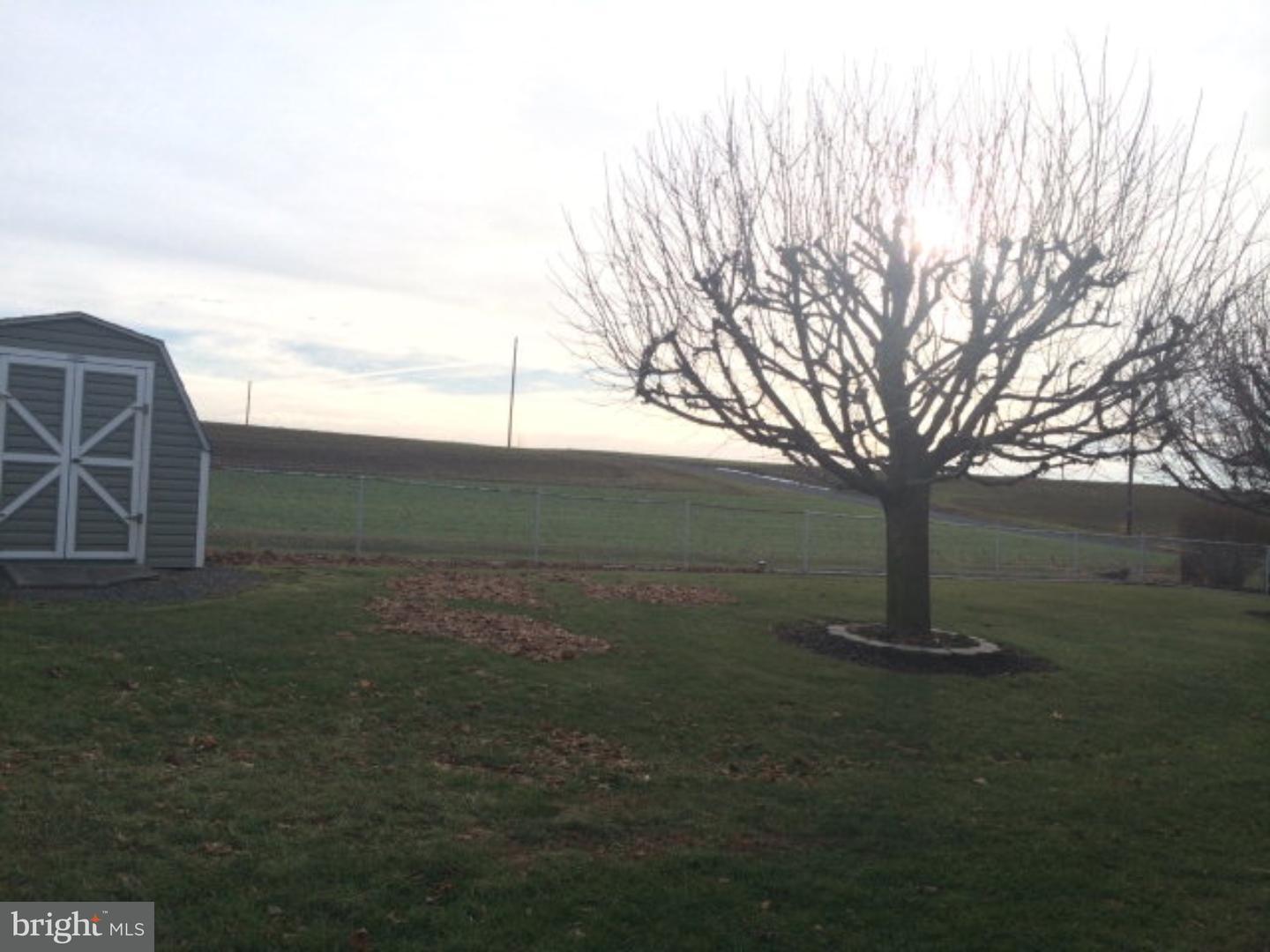 193 Main Road Pitman, PA 17964 - Photo 2 of 7 Back Yard