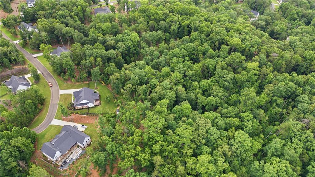 115 Brighton Road Ball Ground, GA 30107 - Photo 42 of 61