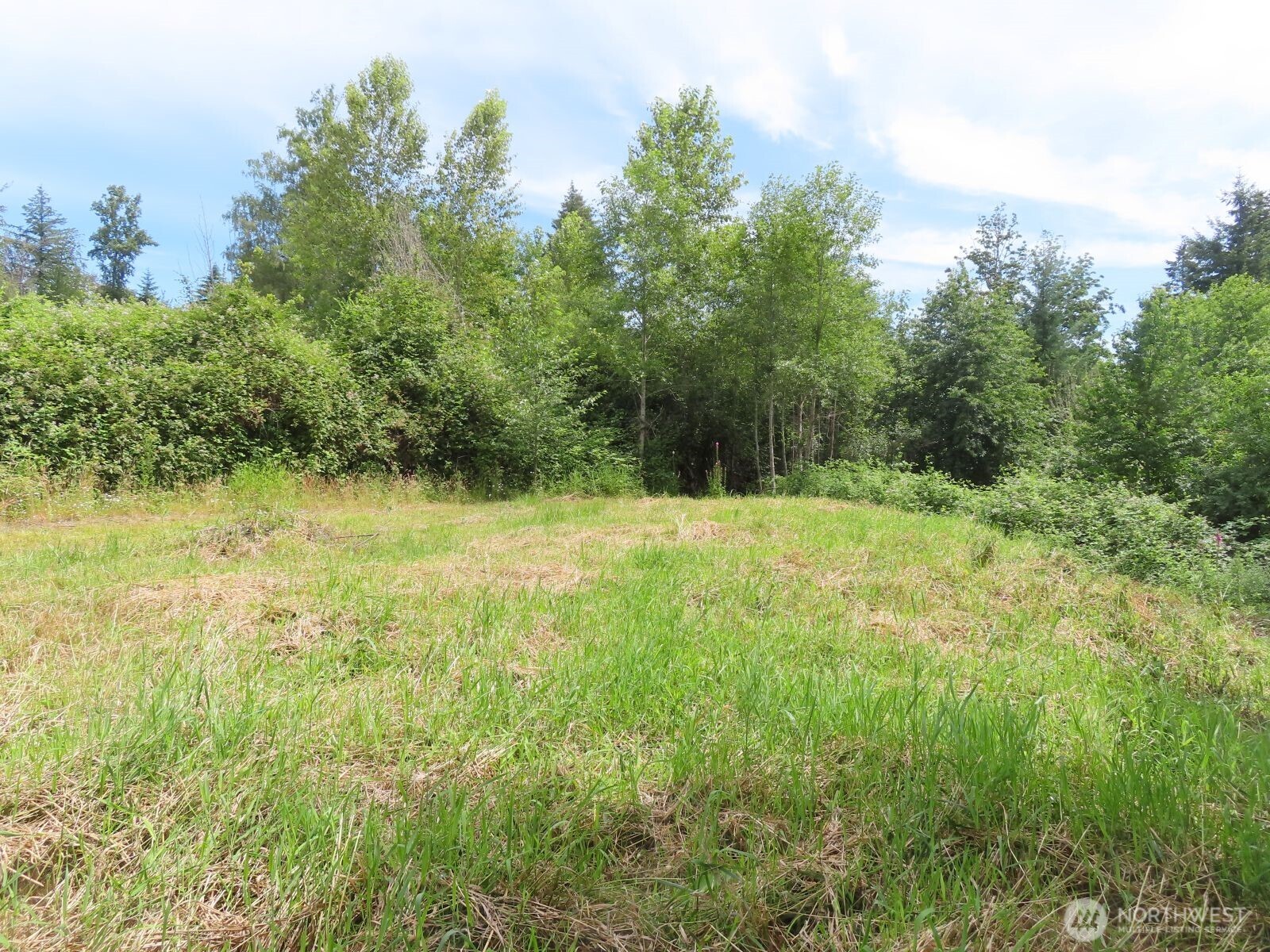 -xxx Coleman Road Mossyrock, WA 98564 - Photo 2 of 20