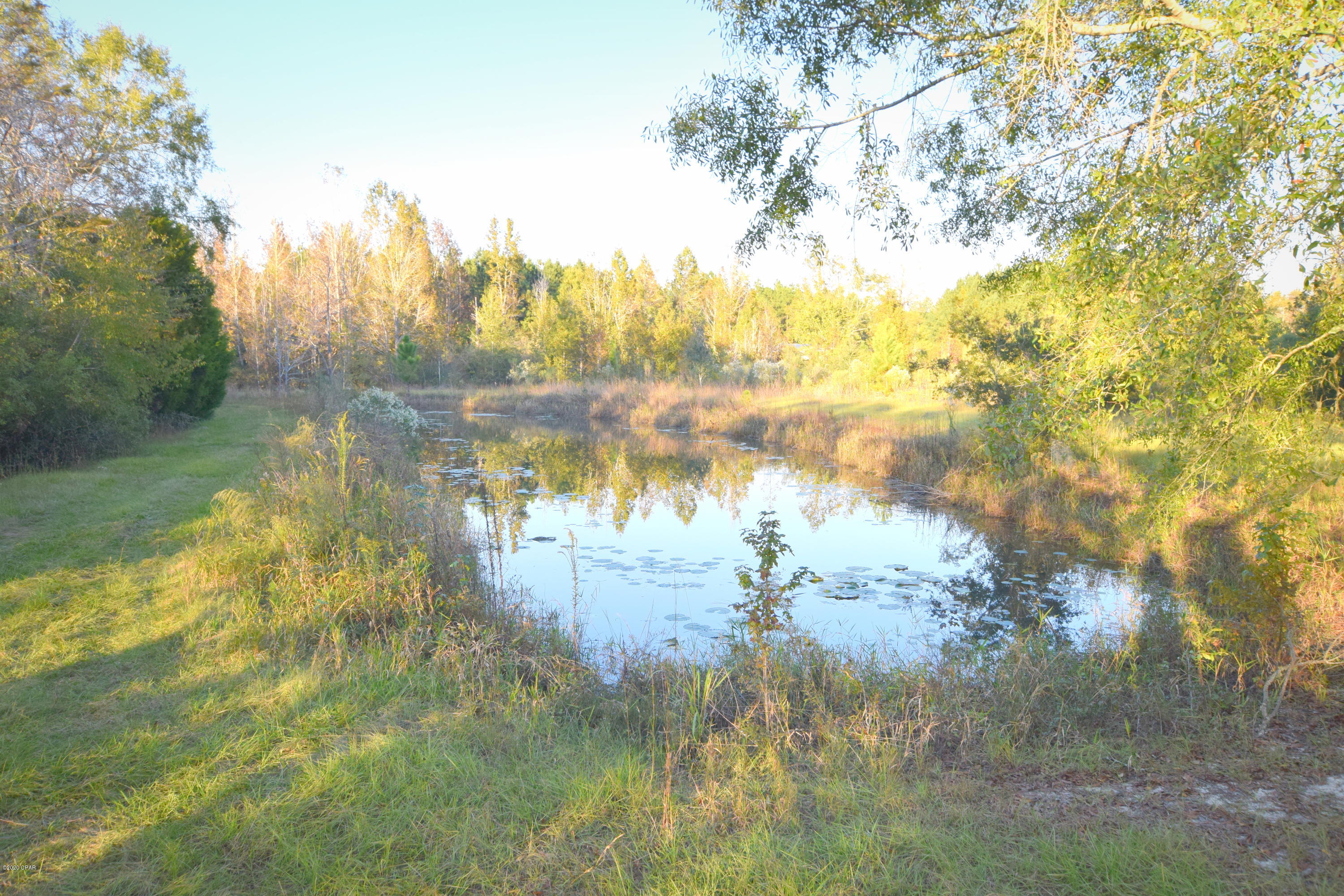 Xxx Snell Road Chipley, FL 32428 - Photo 1 of 4