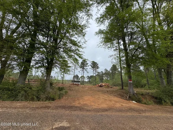 $56,000 | Lot 6 Dinan Salem Road, Tylertown, MS 39667