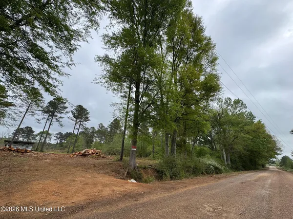 $56,000 | Lot 6 Dinan Salem Road, Tylertown, MS 39667
