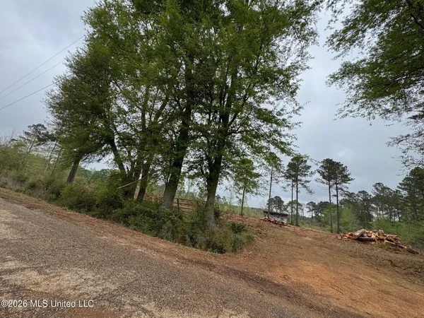 $56,000 | Lot 6 Dinan Salem Road, Tylertown, MS 39667