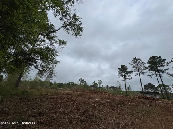 $56,000 | Lot 6 Dinan Salem Road, Tylertown, MS 39667