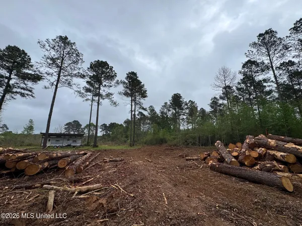 $56,000 | Lot 6 Dinan Salem Road, Tylertown, MS 39667