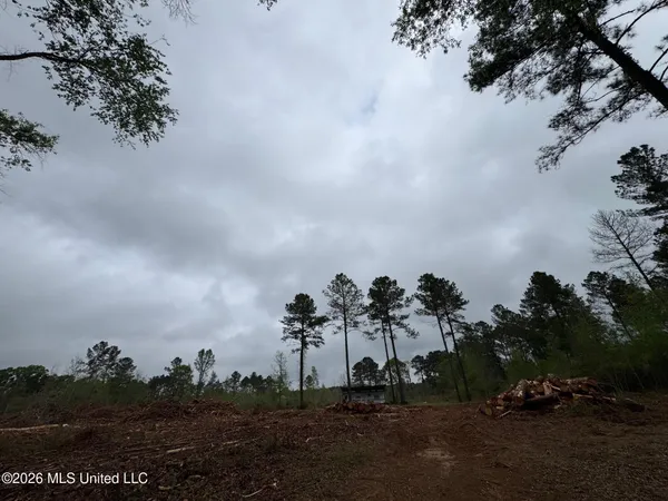 $56,000 | Lot 6 Dinan Salem Road, Tylertown, MS 39667