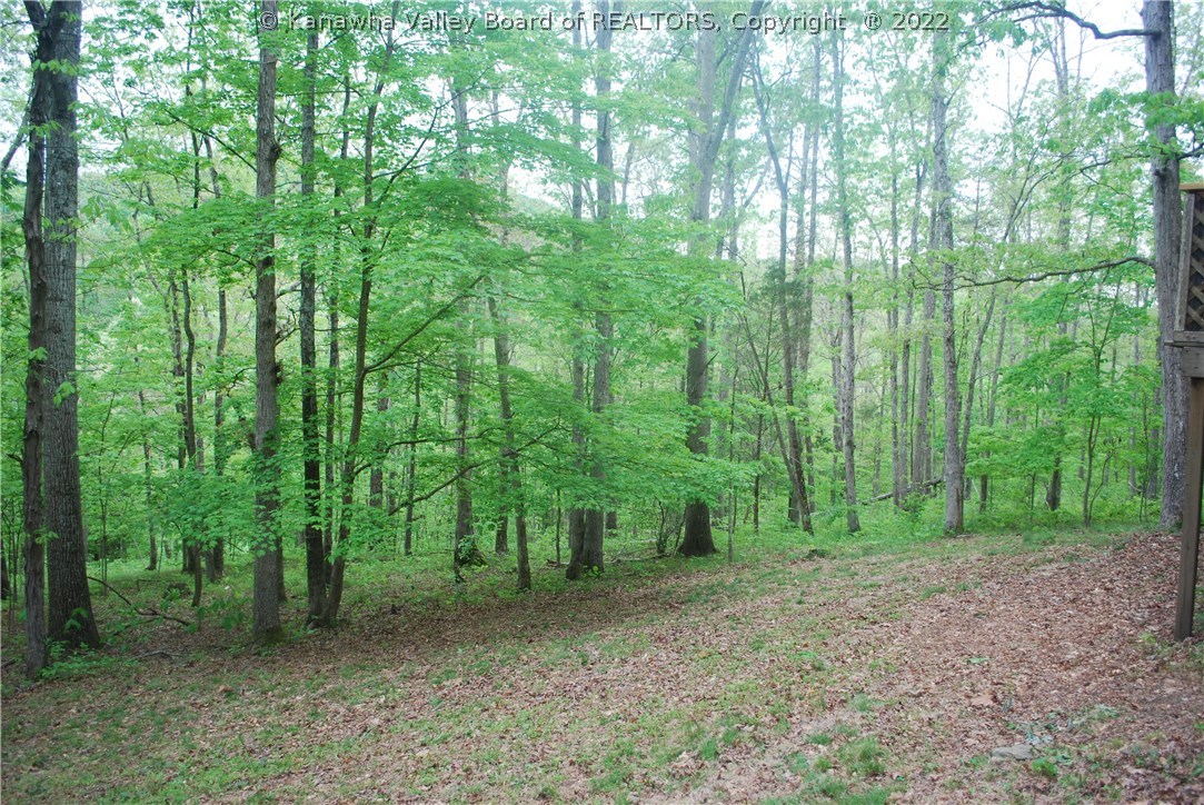 185 Cornstalk Road Southside, WV 25187 - Photo 5 of 13 Gallery Image 5