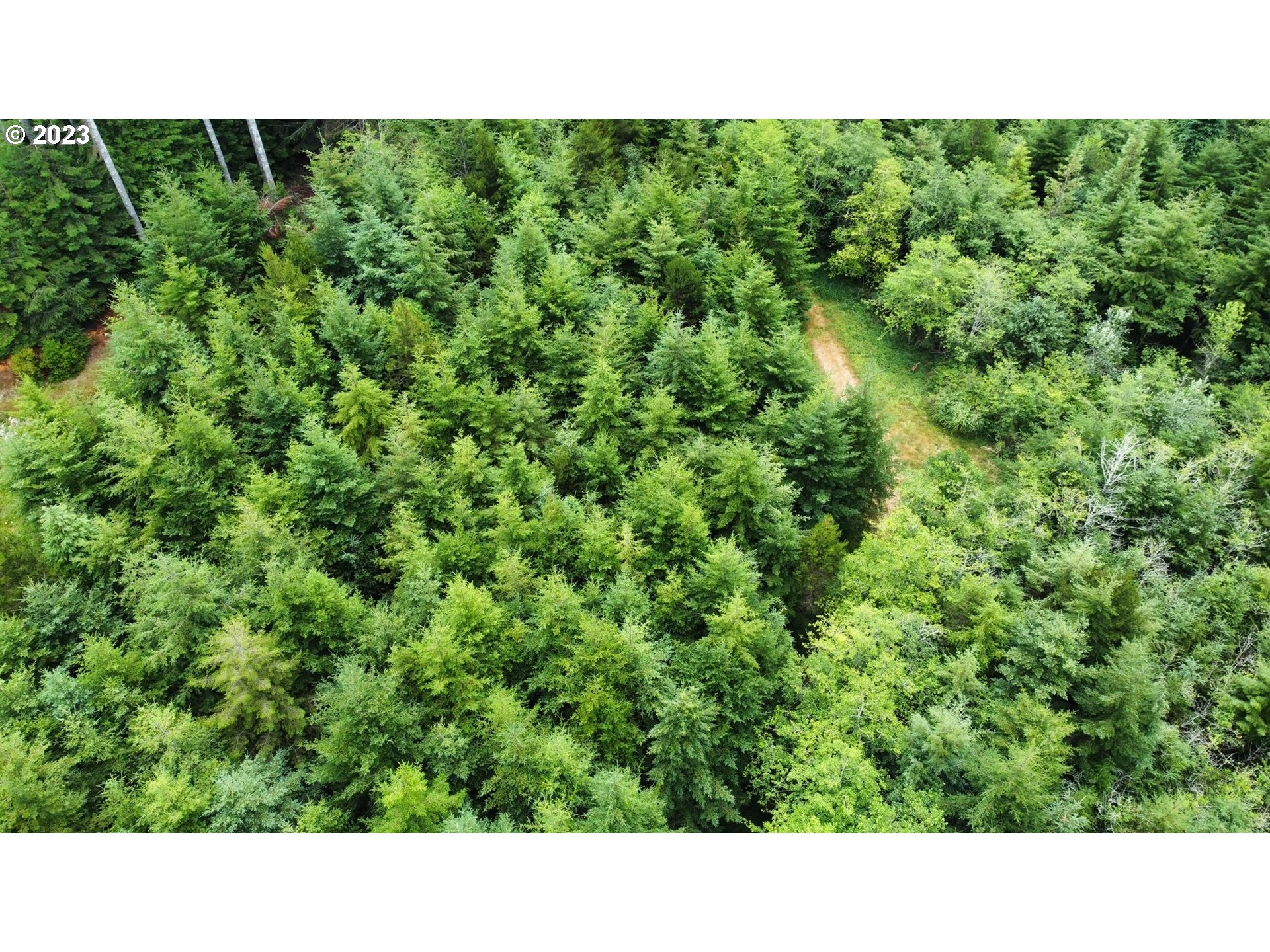 Clear Lake Road Florence, OR 97439 - Photo 7 of 10