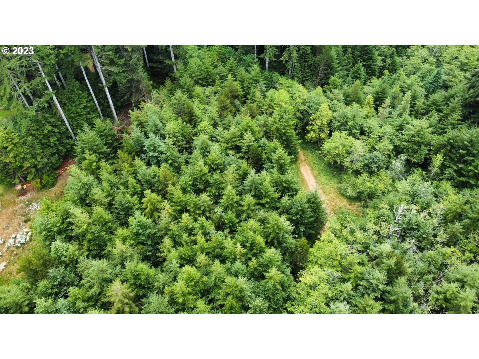 Clear Lake Road Florence, OR 97439 - Photo 8 of 10