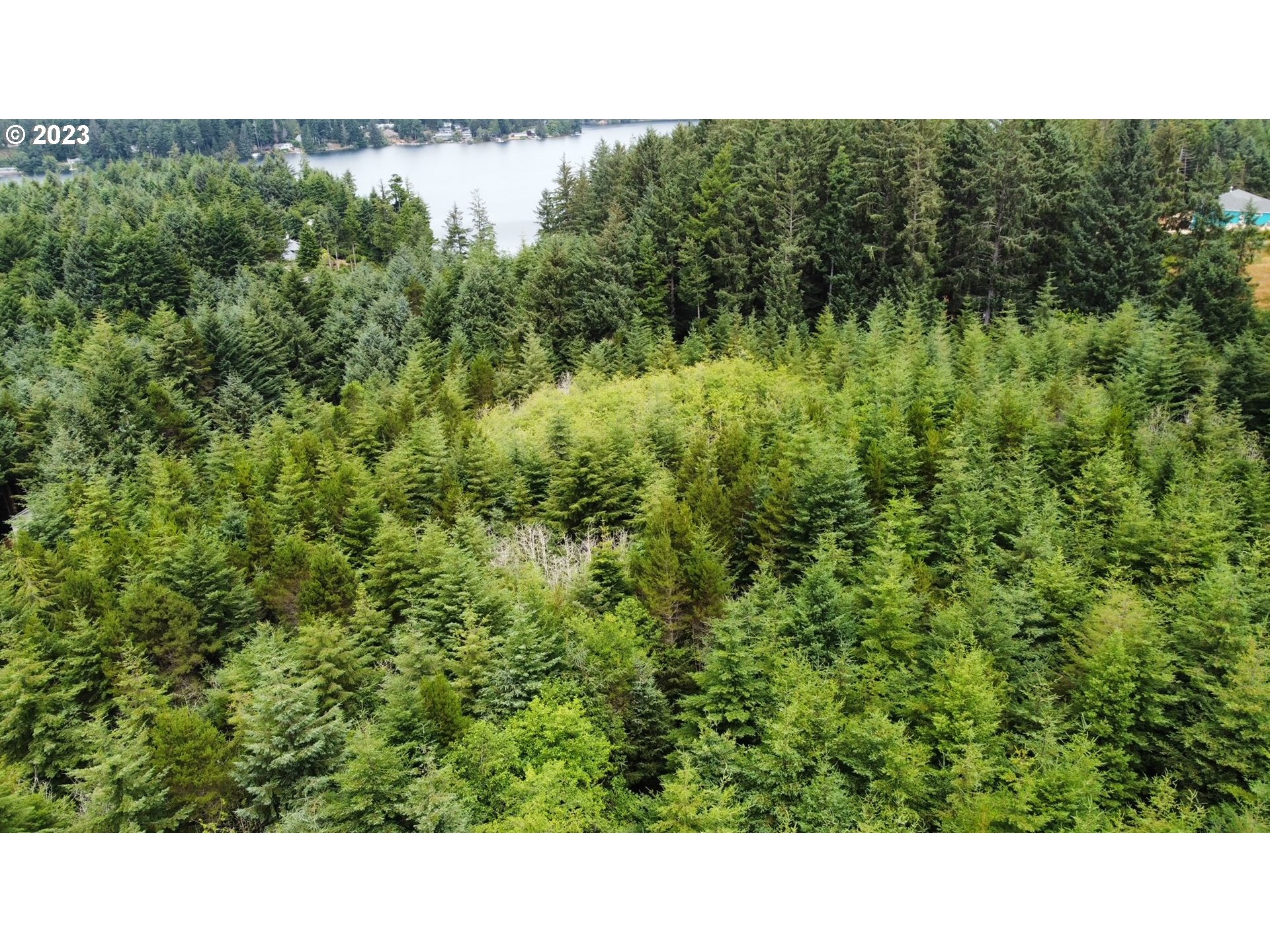 Clear Lake Road Florence, OR 97439 - Photo 10 of 10