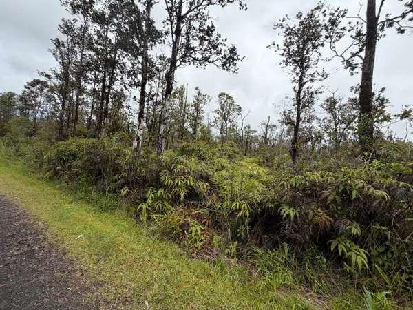 $59,000 | 44 Ala Naulani Road, Mountain View, HI 96771
