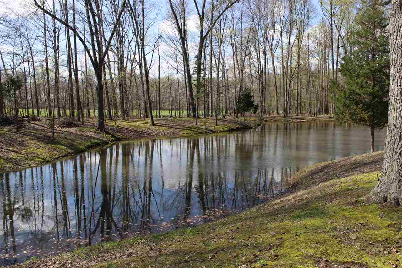 9223 Tower Road Gosport, IN 47433 - Photo 10 of 24 Gallery Image 10