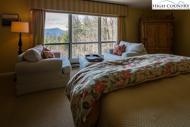 2446 Hickory Boone, NC 28607 - Photo 10 of 30 Gallery Image 10