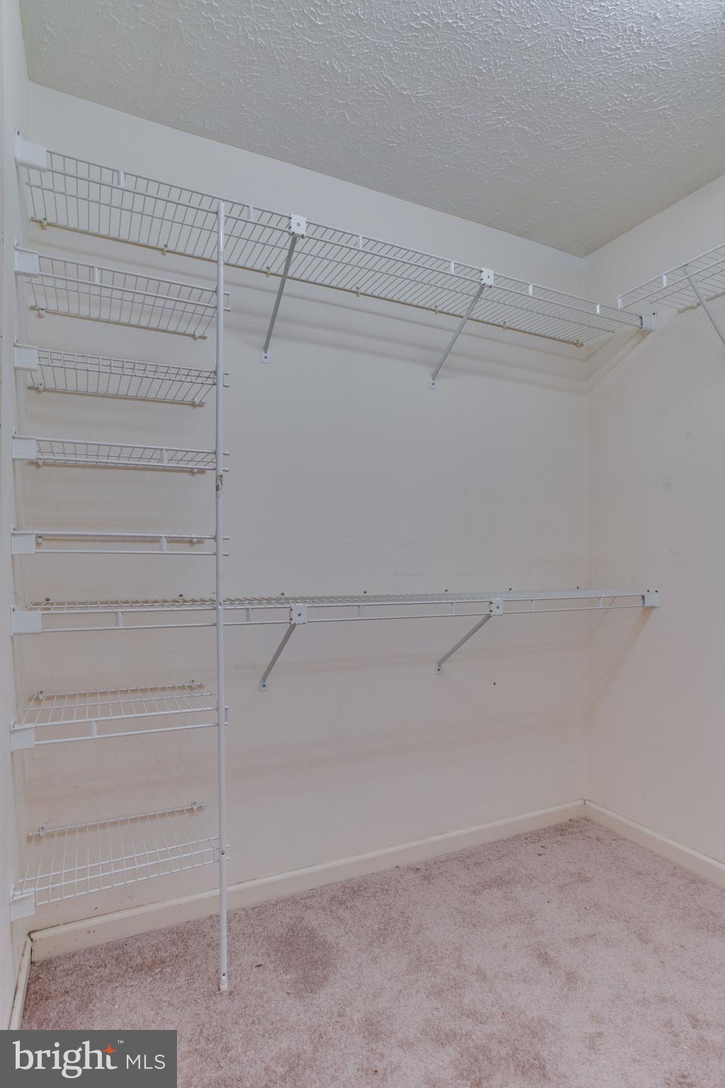 8511 Triple Crown Road Bowie, MD 20715 - Photo 25 of 27 Master Walk-in Closet