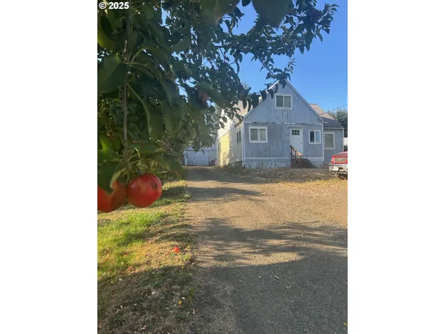 a house view with a backyard space