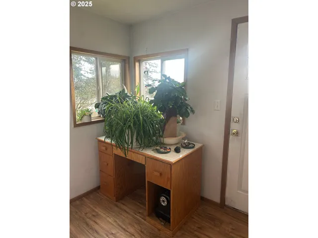 a view of a yard with a tree