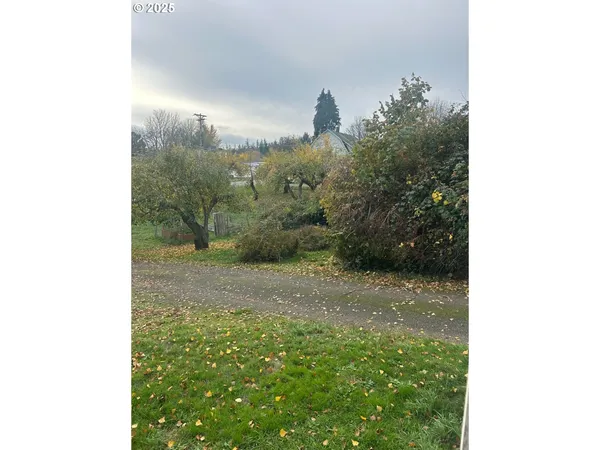 a view of a small yard