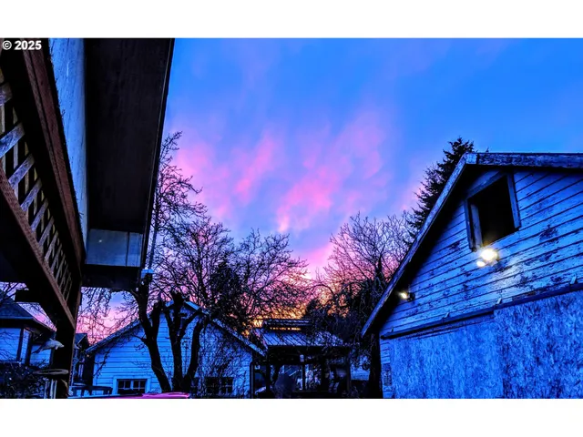 a view of a back yard of the house