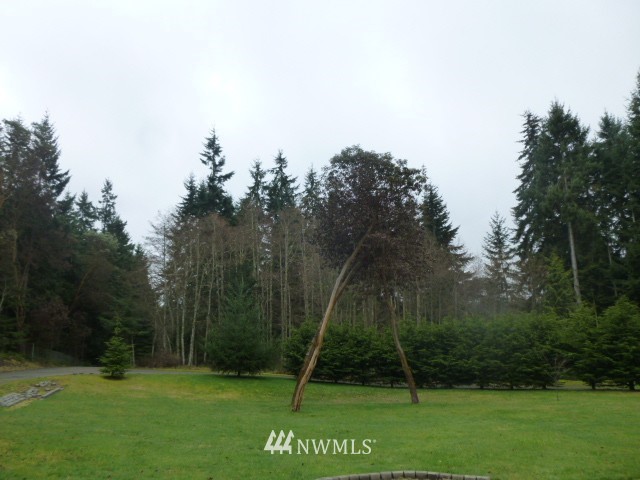 556 Gasman Road Port Angeles, WA 98362 - Photo 16 of 19 a view of a park with large trees